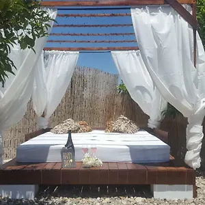 3* Bed & Breakfast Rayo Del Sol