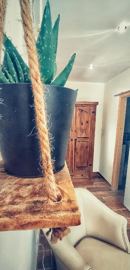 فندق Casa De Vicky إل بويرتو دي سانتا ماريا 0*,  إسبانيا
